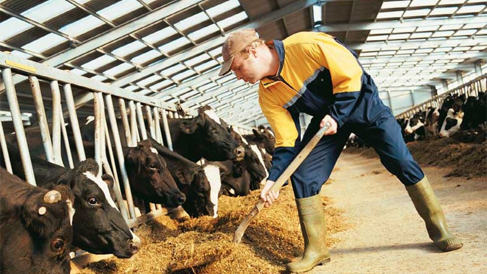 Υπ. Αγροτικής Ανάπτυξης: Διευκολύνεις για την ίδρυση και τη λειτουργία των κτηνοτροφικών εγκαταστάσεων φέρνει το σχετικό σχέδιο νόμου
